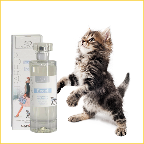 Pet perfume for cats best sale