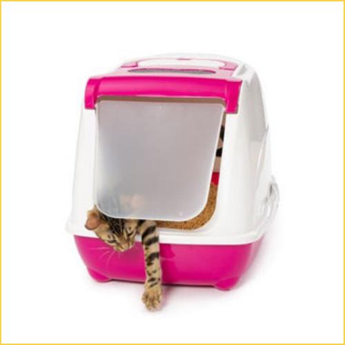 Cat boxes hotsell for sale