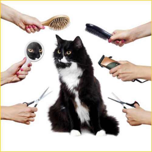 Cat grooming outlet products