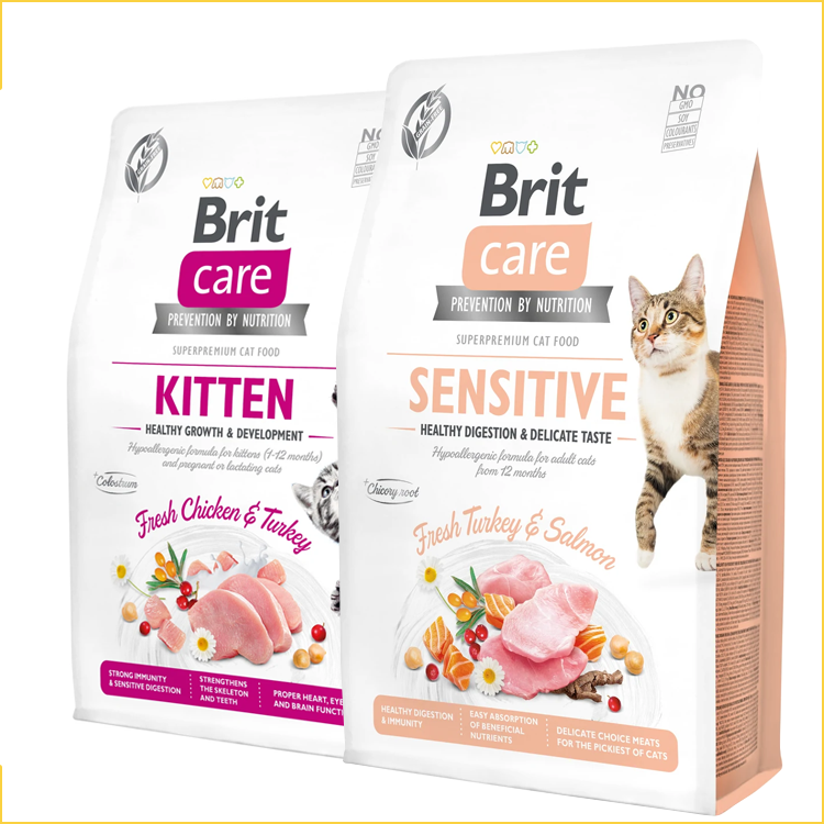 Delicate care 2024 cat food online