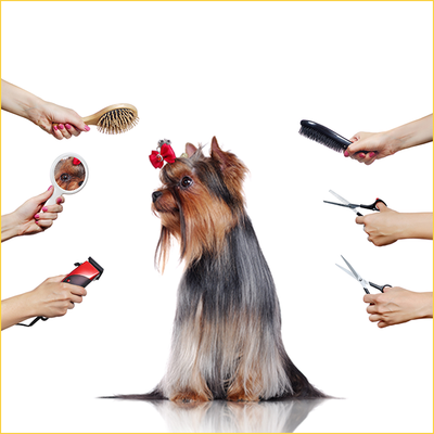 Dogs Grooming Tools