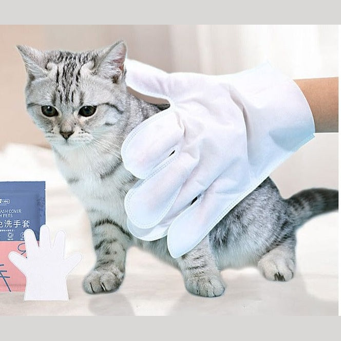 Bee Sting Cat's Foot Swollen Pet Hands-Free Set (Two Pieces