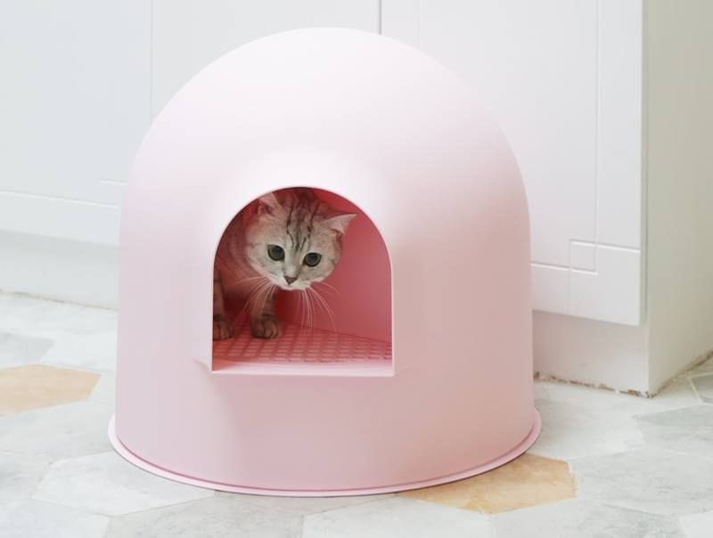 Igloo cat litter box best sale