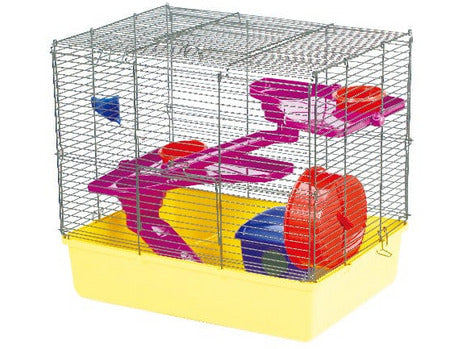 Hamster fun home hotsell