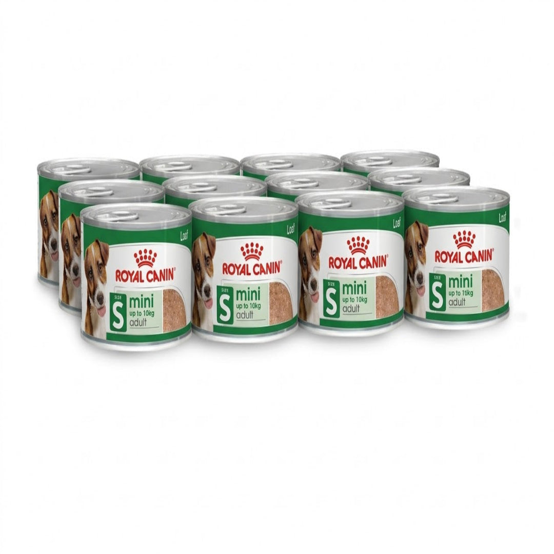 Royal Canin Mini Adult Wet Dog Food 12x195g