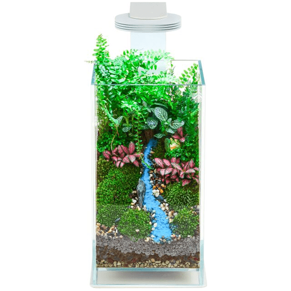 Chihiros Terrarium Light+Base+Glass Air Pets Qatar