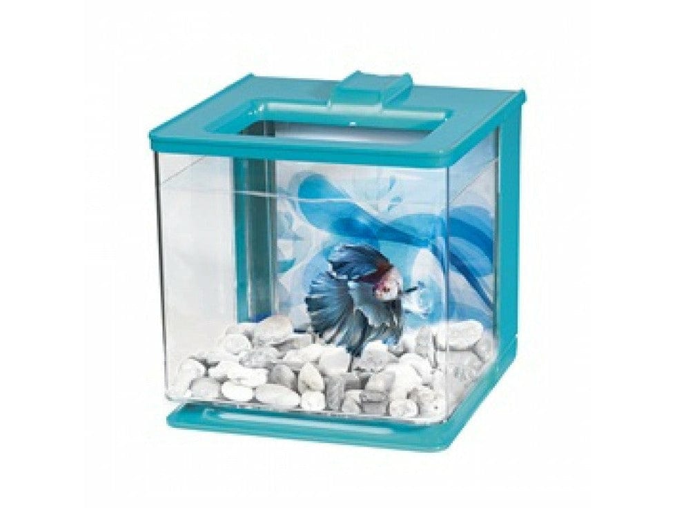 Marina Betta Kit 2.5L Blue Pets Qatar