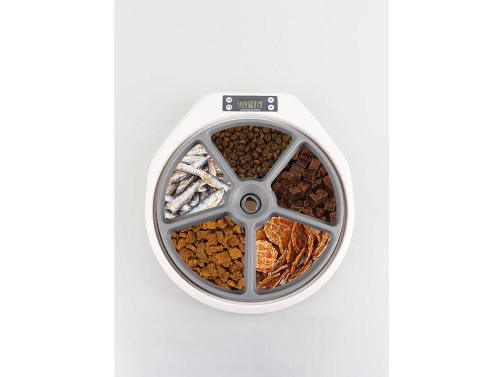 Pawise 2024 automatic feeder