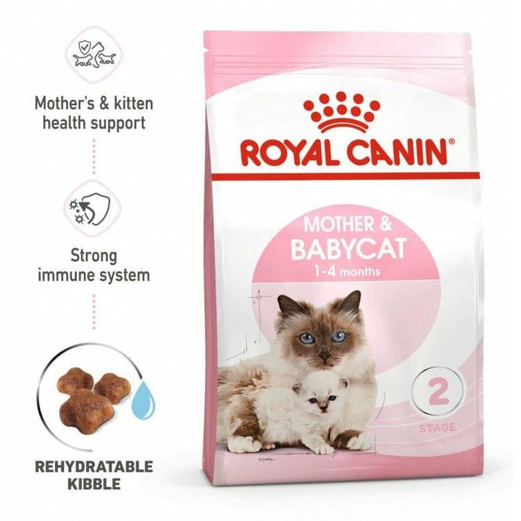 What Food is Good for Nursing Cats: Essential Nutrition Tips