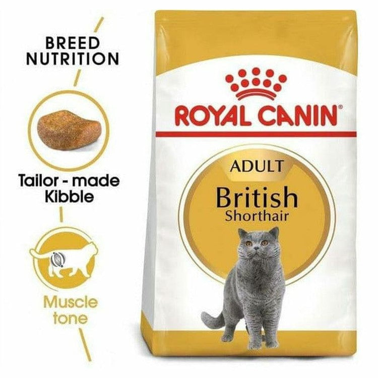 Royal Canin FBN British Shorthair 4kg Pets Qatar