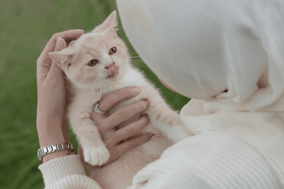 Ramadan and Pets: Maintaining Routines During the Holy Month