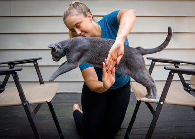 Training Your Cat: Tips for Training Cats to Do Tricks and Follow Commands