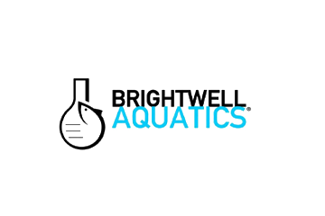 Bright Aquatic