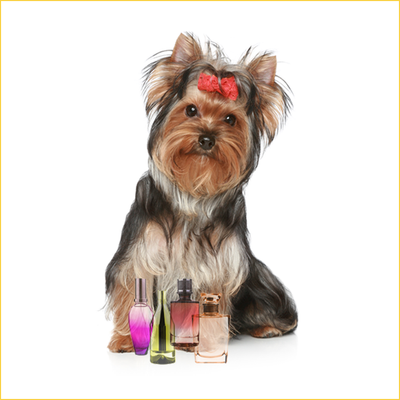 Dog Perfumes