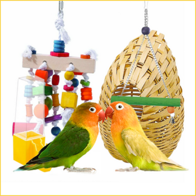 Birds Toys & Accessories