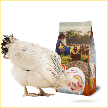Chicken Food