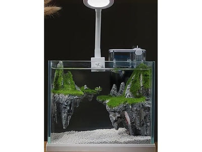 Nepall Sky City Moss Fish Tank Set 22*17*16cm