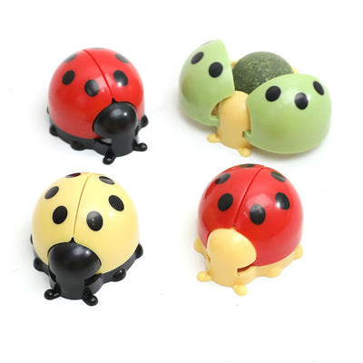 Ladybird Catnip Wall Ball – Interactive Cat Toy with Built-In Catnip