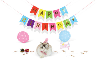PARTY TIME Cat Lady`s set