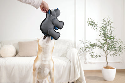 MEGA Dog toy Hippopotamus