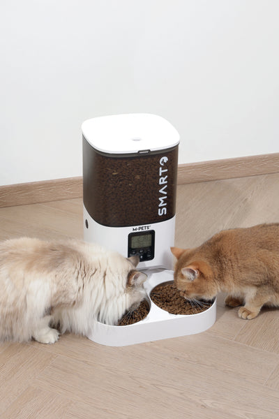SMARTO M800 6L Automatic Food dispenser