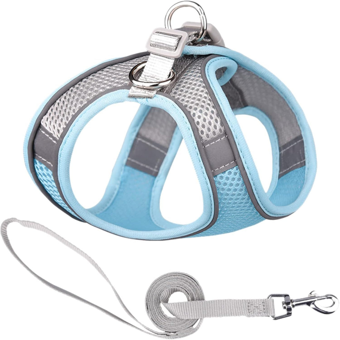 Harness Colorblocked Mesh Bust Powder Blue Xxs