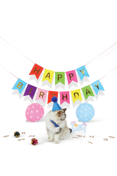 PARTY TIME Cat Gentleman`s set