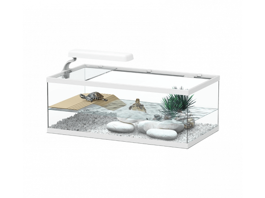 Tortum Turtle Tank 55 x 30 x 20 cm, White