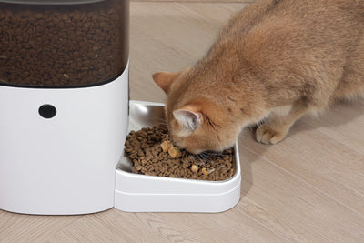 SMARTO M700 4L Automatic Food dispenser