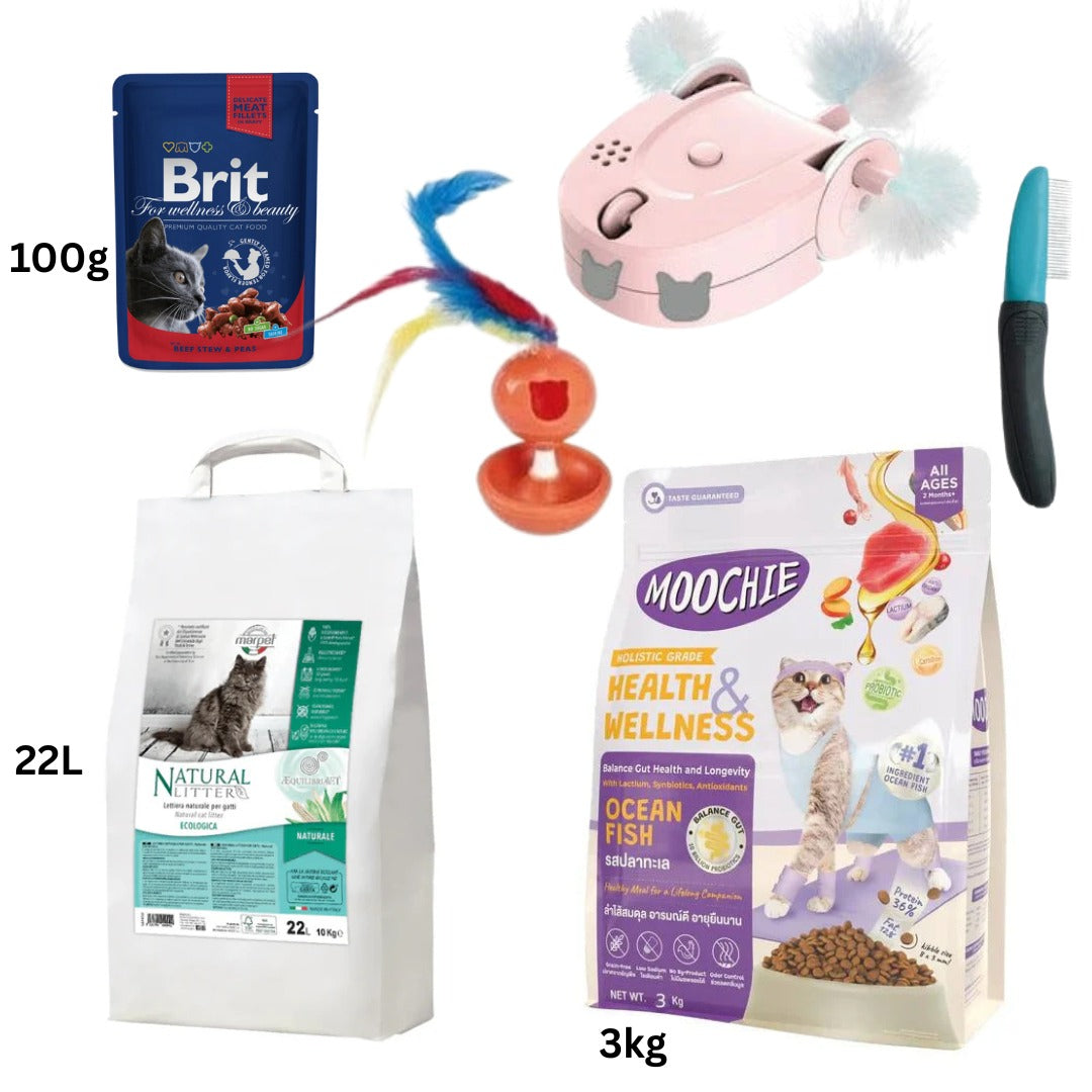 LITTER SAND LETTIERA 22 LT + CAT FOOD OCEAN FISH FLAVOUR 3kg + cat toys + REGULAR Comb