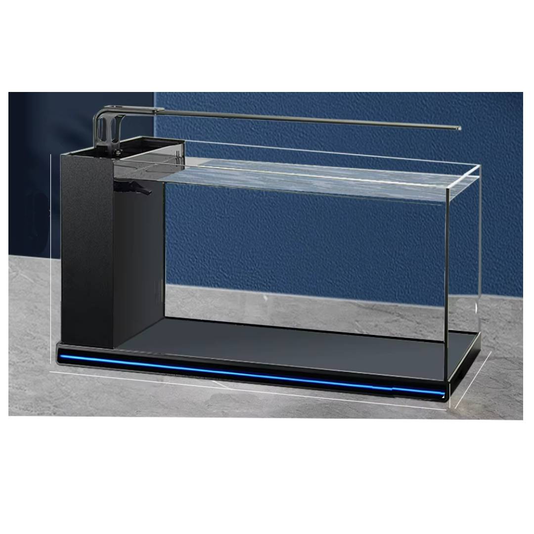 Clear display case with black interior on a white background