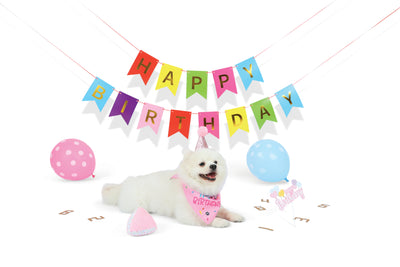 PARTY TIME DOG Lady`s set