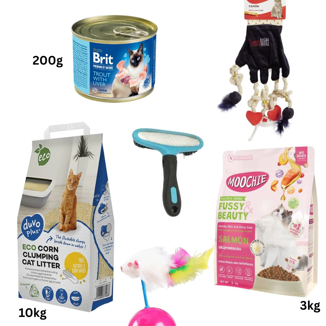 ECO corn clumping cat litter 10kg + CAT FOOD SALMON FLAVOUR 3kg + cat toys and wet food