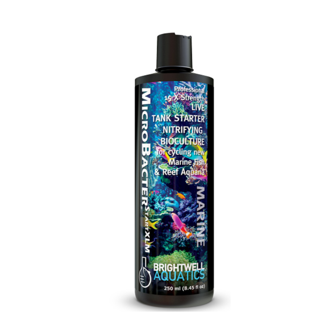 Brightwell MicroBacterSTARTXLM- 250 ml