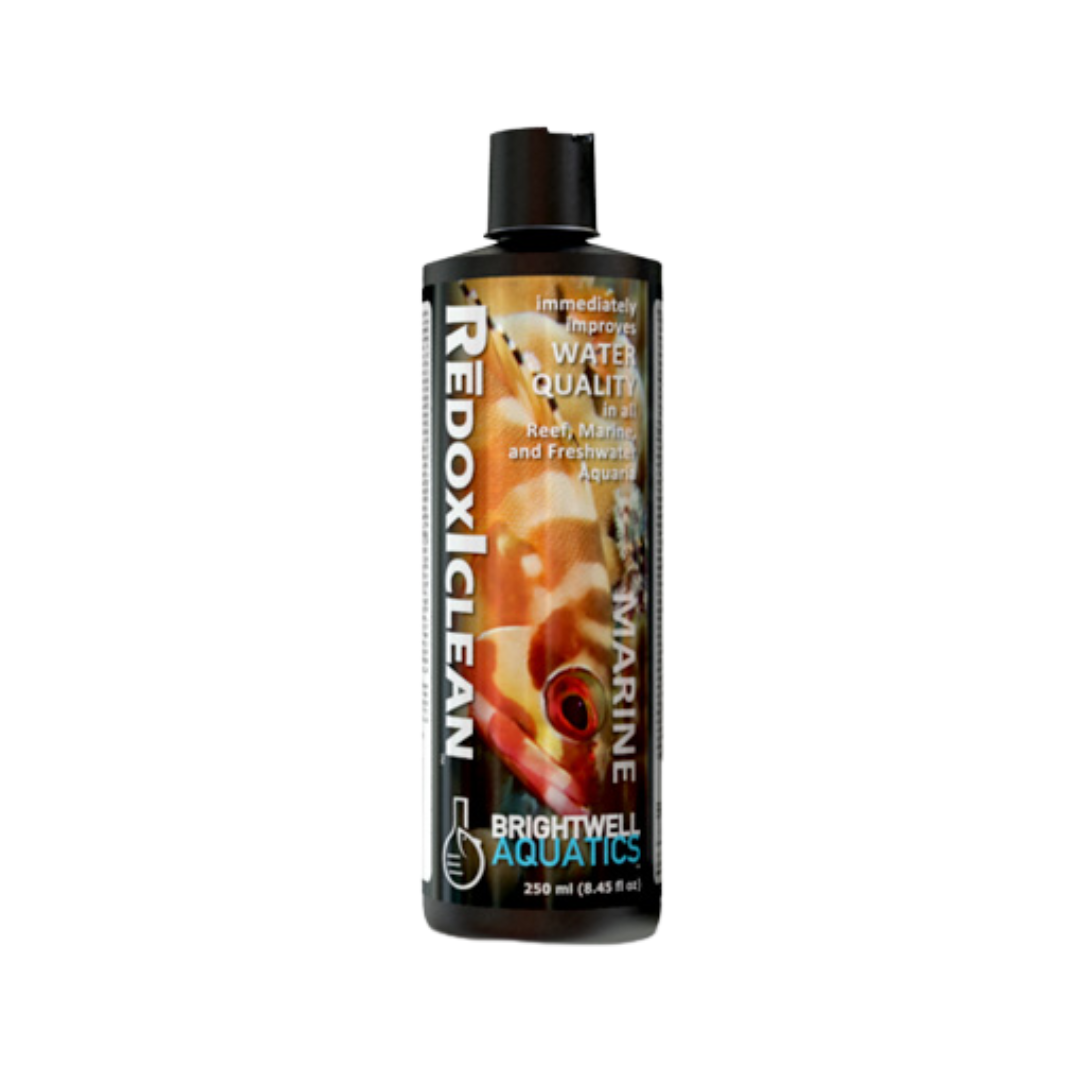Brightwell RedoxiClean – Immediate Water Quality Improvement for Reef, Marine &amp; Freshwater Aquariums