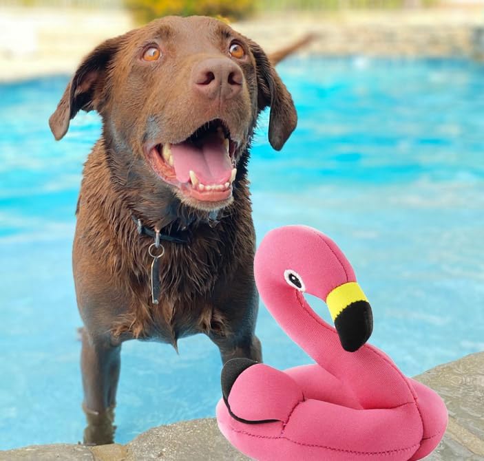 AFP Floating toy-Flamingo With rope