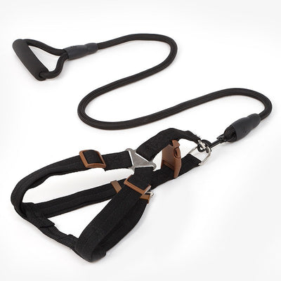 Black Pet Harness & Leash Set Black