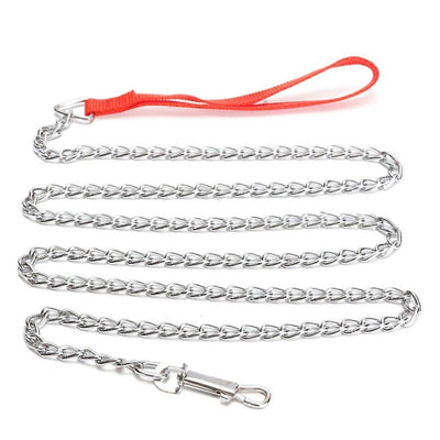 Factory spot wholesale Pipitao anti-bite pet chain 4.0mm*160cm