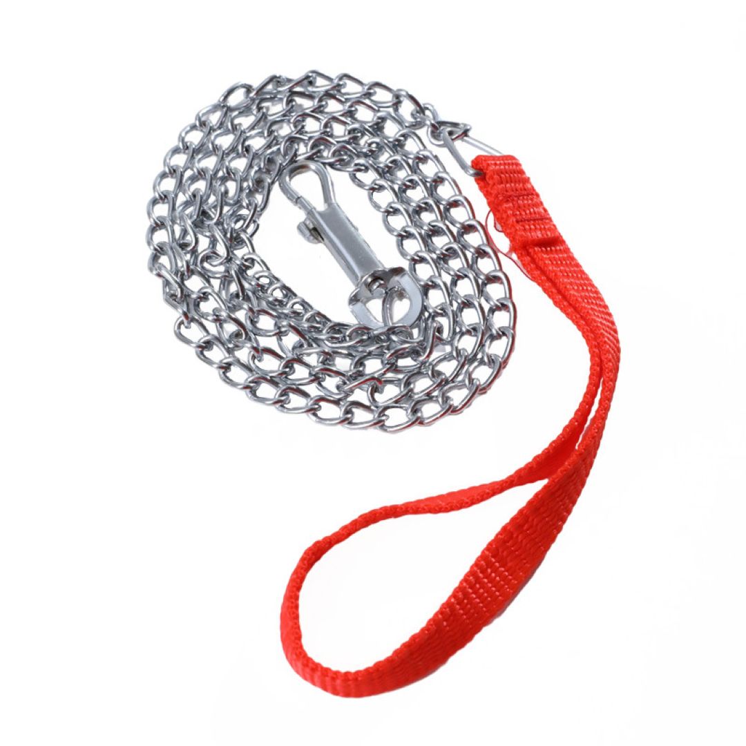 Factory spot wholesale Pipitao anti-bite pet chain 3.0mm*160cm