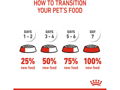تغذية صحية للقطط للأم والقطط 10 كجم