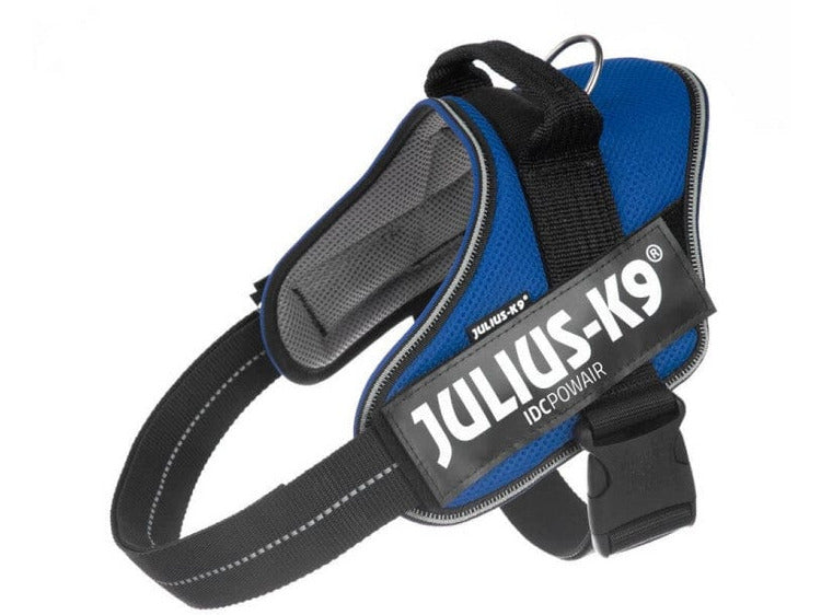 IDC Powerharness - Blue / Size Large