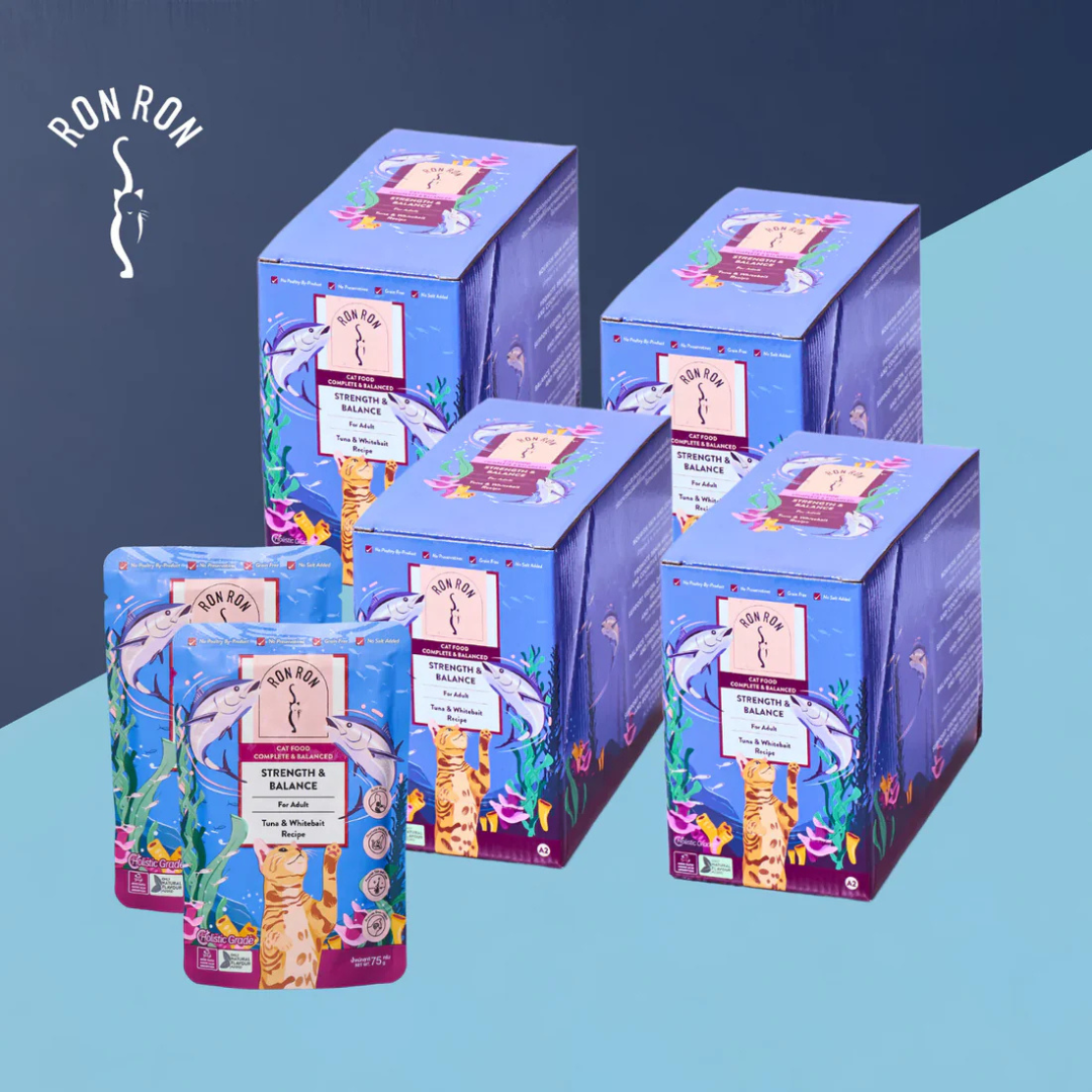RONRON Tuna and Whitebait in Kombu Dashi Soup 12x75g