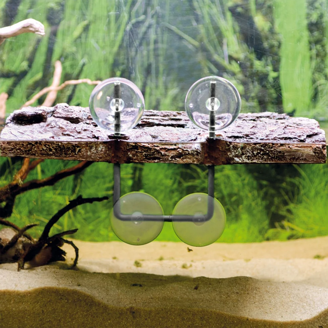 Turtle Island 3 Large