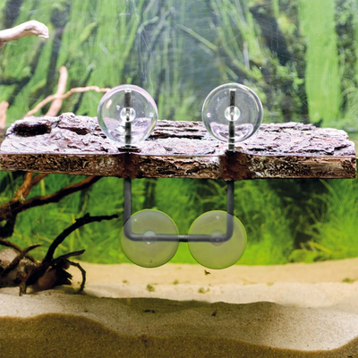Turtle Island 3 Large