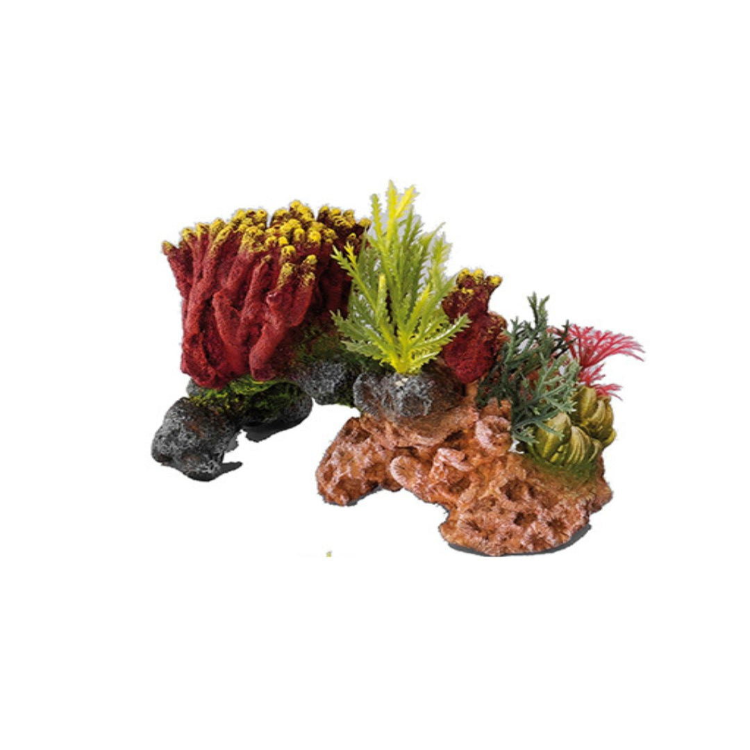 CORALSET MEDIO 15x9x11CM