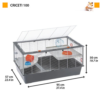 Hamsters 100 Large Cage