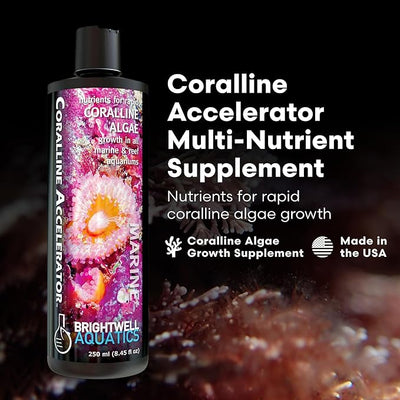 Brightwell Coralline Accelerator -  250 ML