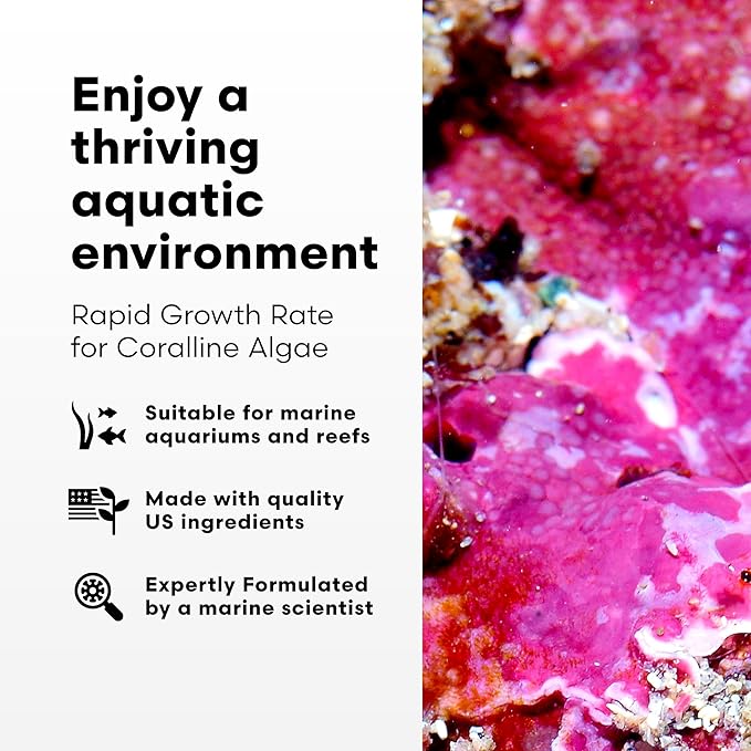 Brightwell Coralline Accelerator -  250 ML