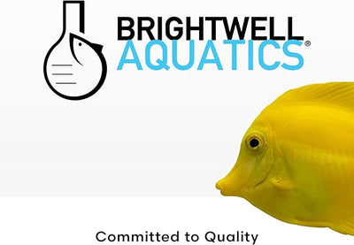 Brightwell Coralline Accelerator -  250 ML