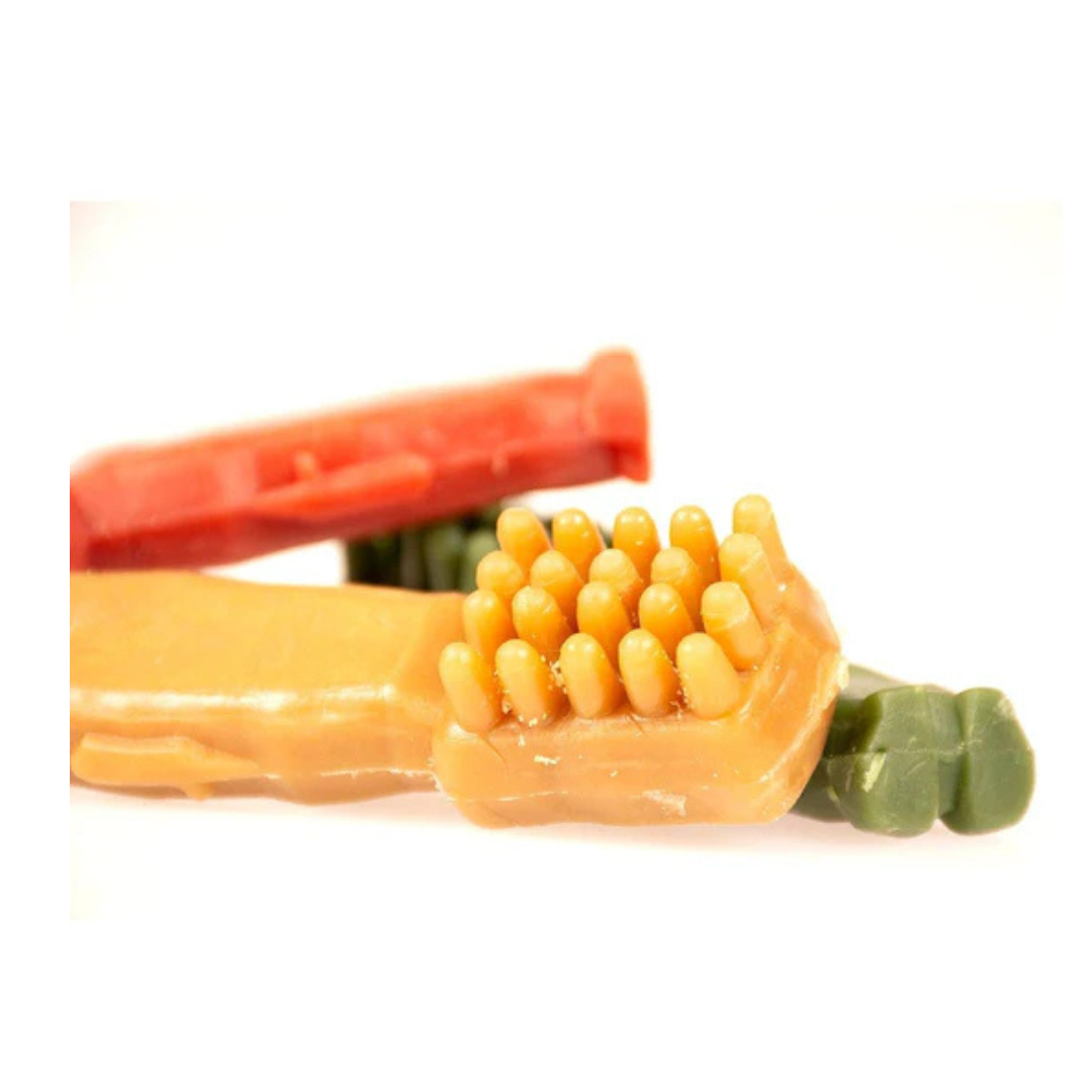 Garden Bites Toby Toothbrush Mixed Colors